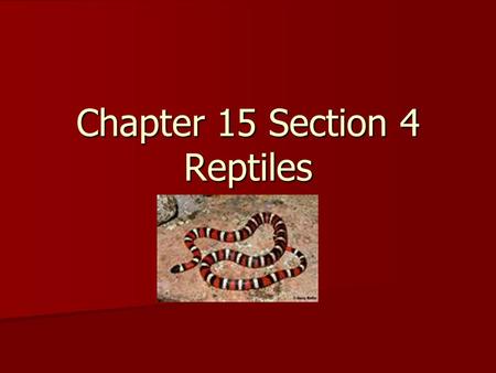 Chapter 15 Section 4 Reptiles. Standard; The anatomy and physiology of animals illustrate the complementary nature of structure and function EQ: Name.