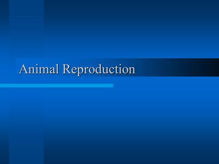 Animal Reproduction.