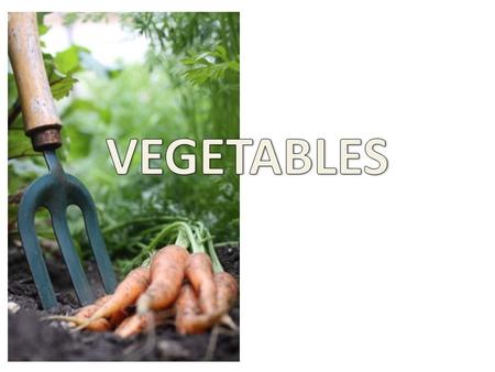 Vegetables are from Plants -They are the edible parts of a plant.