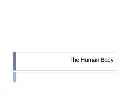 The Human Body. Structural Organization in Animals Anatomy and Physiology…what’s the difference? -the study of the form of an organisms structures (parts).