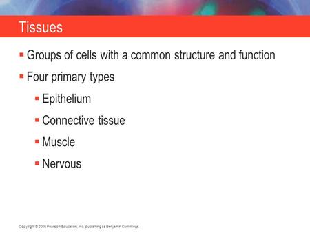 Copyright © 2006 Pearson Education, Inc. publishing as Benjamin Cummings. Tissues  Groups of cells with a common structure and function  Four primary.