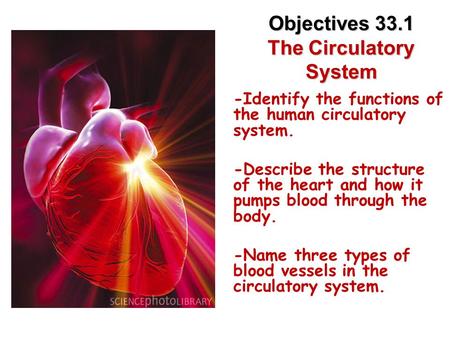 Lesson Overview Lesson Overview The Circulatory System Objectives 33.1 The Circulatory System -Identify the functions of the human circulatory system.