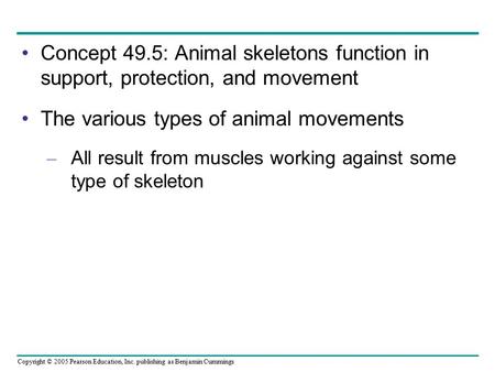 Copyright © 2005 Pearson Education, Inc. publishing as Benjamin Cummings Concept 49.5: Animal skeletons function in support, protection, and movement The.