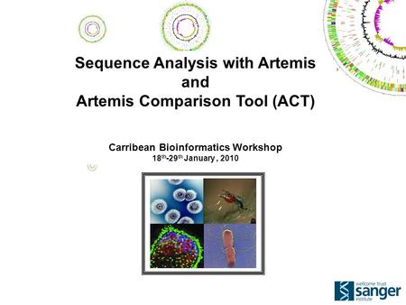 Sequence Analysis with Artemis and Artemis Comparison Tool (ACT) Carribean Bioinformatics Workshop 18 th -29 th January, 2010.