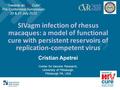 SIVagm infection of rhesus macaques: a model of functional cure with persistent reservoirs of replication-competent virus Cristian Apetrei Center for Vaccine.