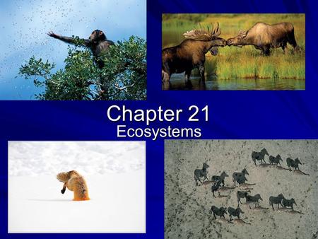 Chapter 21 Ecosystems LE 50-10a North Pole 60°N Low angle of incoming sunlight Sunlight directly overhead at equinoxes Tropic of Cancer 60°S South Pole.