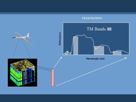 VEGETATION Narrow- vs. Broad-Band Instruments Wavelength (nm) Reflectance TM Bands.