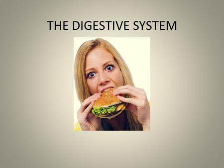 THE DIGESTIVE SYSTEM.