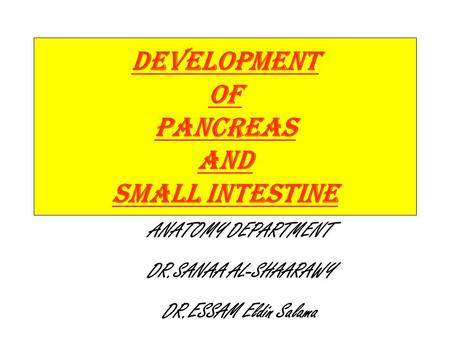 Development of pancreas and Small Intestine ANATOMY DEPARTMENT DR.SANAA AL-SHAARAWY DR.ESSAM Eldin Salama.