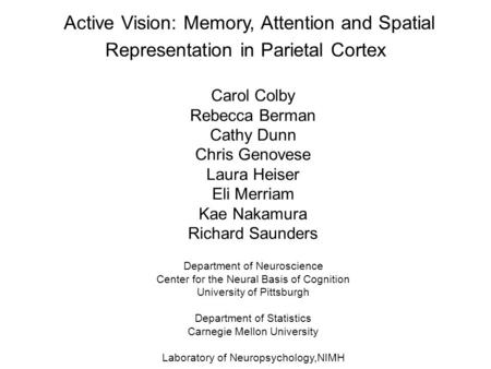 Active Vision: Memory, Attention and Spatial Representation in Parietal Cortex Carol Colby Rebecca Berman Cathy Dunn Chris Genovese Laura Heiser Eli Merriam.