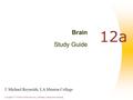 Copyright © 2004 Pearson Education, Inc., publishing as Benjamin Cummings J. Michael Reynolds, LA Mission College 12a Brain Study Guide.