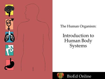 The Human Organism: Introduction to Human Body Systems BioEd Online.