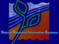 N atural R esource I nformation S ystems. ObjectivesObjectives  NRIS Water Overview  Spatial Data in NRIS Water  Integration of NHD data.