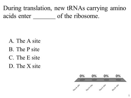 During translation, new tRNAs carrying amino acids enter of the ribosome. A.The A site B.The P site C.The E site D.The X site 1.