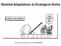 Skeletal Adaptations to Ecological Niche.