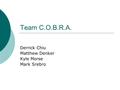 Team C.O.B.R.A. Derrick Chiu Matthew Denker Kyle Morse Mark Srebro.