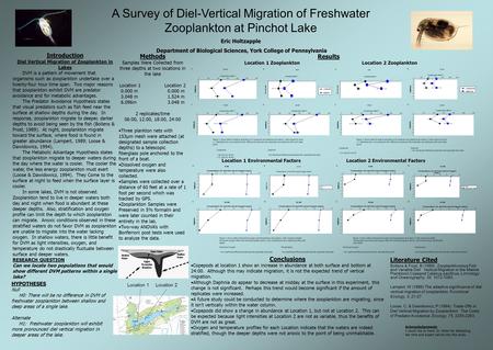 A Survey of Diel-Vertical Migration of Freshwater Zooplankton at Pinchot Lake Eric Holtzapple Department of Biological Sciences, York College of Pennsylvania.