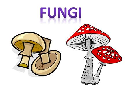 Characteristics of Fungus Eukaryotes. Have cell walls. Heterotrophs {must consume food for energy} They feed by absorbing their food. Use spores to reproduce.