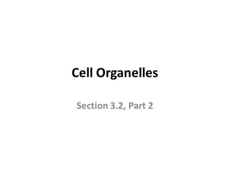 Cell Organelles Section 3.2, Part 2. Endoplasmic Reticulum (ER) An interconnected network of thin folded membranes (forms maze of enclosed spaces). –