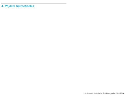 L. 6: Bacteria Domain (III). 2nd Biology ARA 2013-2014 4. Phylum Spirochaetes.