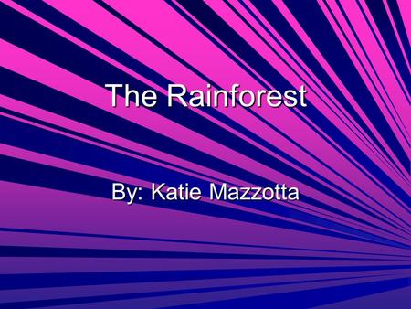 The Rainforest By: Katie Mazzotta. Why rainforests are disappearing and the percentage of the rainforests already gone are… They are gone because logging.