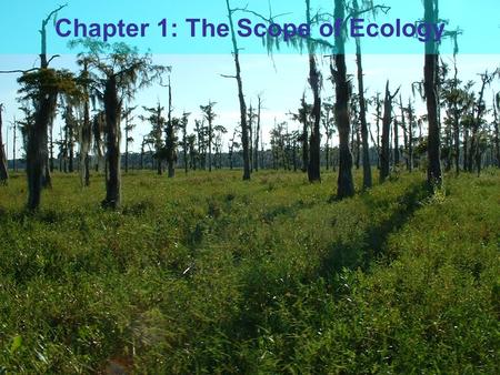 Chapter 1: The Scope of Ecology