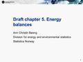 1 1 Draft chapter 5. Energy balances Ann Christin Bøeng Division for energy and environmental statistics Statistics Norway.