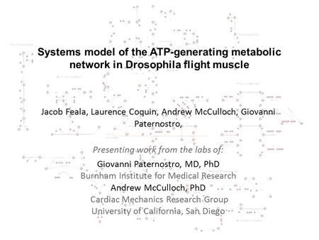 Systems model of the ATP-generating metabolic network in Drosophila flight muscle Jacob Feala, Laurence Coquin, Andrew McCulloch, Giovanni Paternostro,