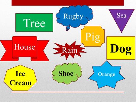 Tree Dog House Orange Rugby Sea Pig Rain Ice Cream Shoe.