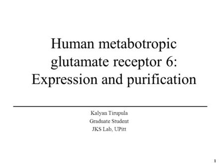 1 Human metabotropic glutamate receptor 6: Expression and purification Kalyan Tirupula Graduate Student JKS Lab, UPitt.