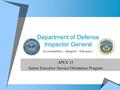 Department of Defense Inspector General APEX 33 Senior Executive Service Orientation Program Accountability – Integrity - Efficiency.