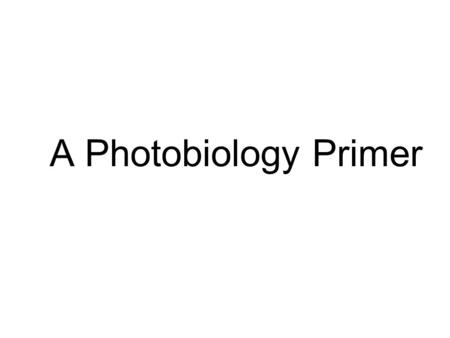 A Photobiology Primer. Sunlight Ozone layer and atmosphere Skin DNA damage ROS generation DNA repair Cell death Mutation Altered gene expression Other.