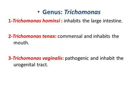 Genus: Trichomonas 1-Trichomonas hominsi : inhabits the large intestine. 2-Trichomonas tenax: commensal and inhabits the mouth. 3-Trichomonas vaginalis: