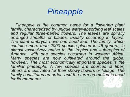 Pineapple Pineapple is the common name for a flowering plant family, characterized by unique water-absorbing leaf scales and regular three-parted flowers.