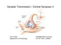 Synaptic Transmission / Central Synapses II Tom O’Dell Department of Physiology C8-161 (NPI), x64654.