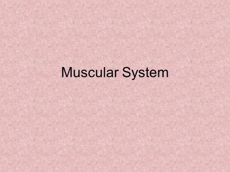 Muscular System. Three Types Skeletal or striated – attached to bones, allows motion, voluntary control Smooth - work internal systems, involuntary i.