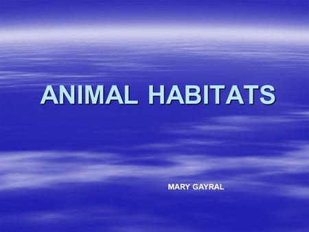 ANIMAL HABITATS ANIMAL HABITATS MARY GAYRAL. habitat  a place where an animal finds the food, water, and shelter it needs to live.