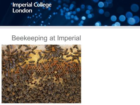 Beekeeping at Imperial. Why should we keep bees at Imperial? Beekeeping would form a part of the wider sustainability campaign at Imperial, by increasing.