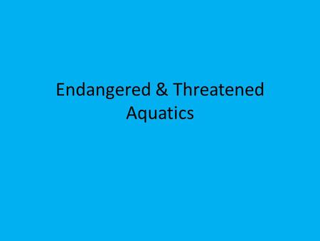 Endangered & Threatened Aquatics. Endangered & Threatened Species Habitat specialists- those that require a specific habitat, and are therefore more likely.