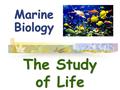 Marine Biology The Study of Life. I. Science -an ongoing, inquiry-based process to understand the world around us -relies on evidence -challenges accepted.