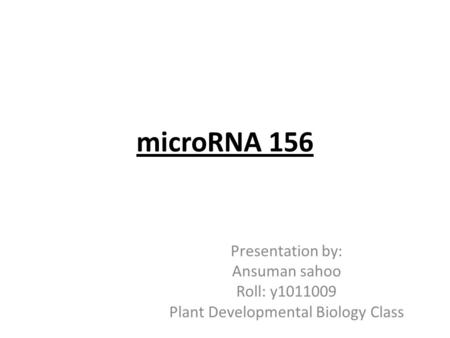 MicroRNA 156 Presentation by: Ansuman sahoo Roll: y1011009 Plant Developmental Biology Class.