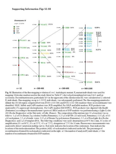 Fig. S1 Illustration of the fine-mapping evolution of cmr1 Arabidopsis mutant. F 2 mutant individuals were used for mapping. Molecular markers used in.