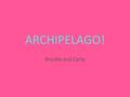 ARCHIPELAGO! Brooke and Carly. What is a archipelago An archipelago is a group or a chain of islands. Hawaii is an archipelago.