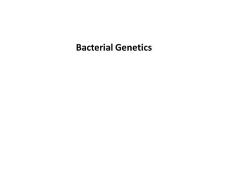 Bacterial Genetics. Microbial Genetics - Genetics is the study of what genes are, how they carry information, how their information is expressed, and.