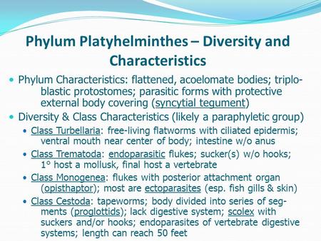 Phylum Platyhelminthes – Diversity and Characteristics Phylum Characteristics: flattened, acoelomate bodies; triplo- blastic protostomes; parasitic forms.