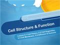 Cell Structure & Function Lesson 3.1 Cell Theory, 3.2 Cell Organelles, 3.3 Cell Membrane, 3.4 Diffusion & Osmosis.