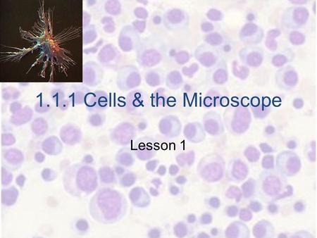 1.1.1 Cells & the Microscope Lesson 1. 1.1.1 Cells & the Microscope Learning Objectives Compare the structure and ultra-structure of plant cells with.