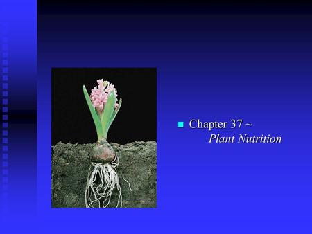 N Chapter 37 ~ Plant Nutrition. I. Nutrients n A. Essential: required for the plant life cycle u 1. Macro- (large amounts) carbon, oxygen, hydrogen, nitrogen,