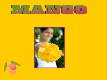 The mango originated in southeast Asia where it has been grown for over 4,000 years. Mango groves are now in many parts of the tropical and sub- tropical.