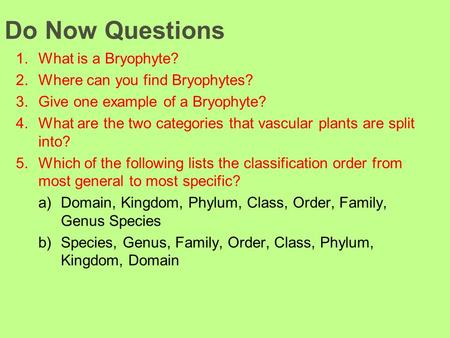 Do Now Questions 1.What is a Bryophyte? 2.Where can you find Bryophytes? 3.Give one example of a Bryophyte? 4.What are the two categories that vascular.